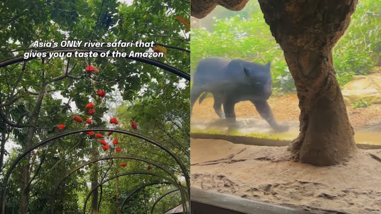 This River Safari In Asia Will Make You Feel Like You Are In The Amazon