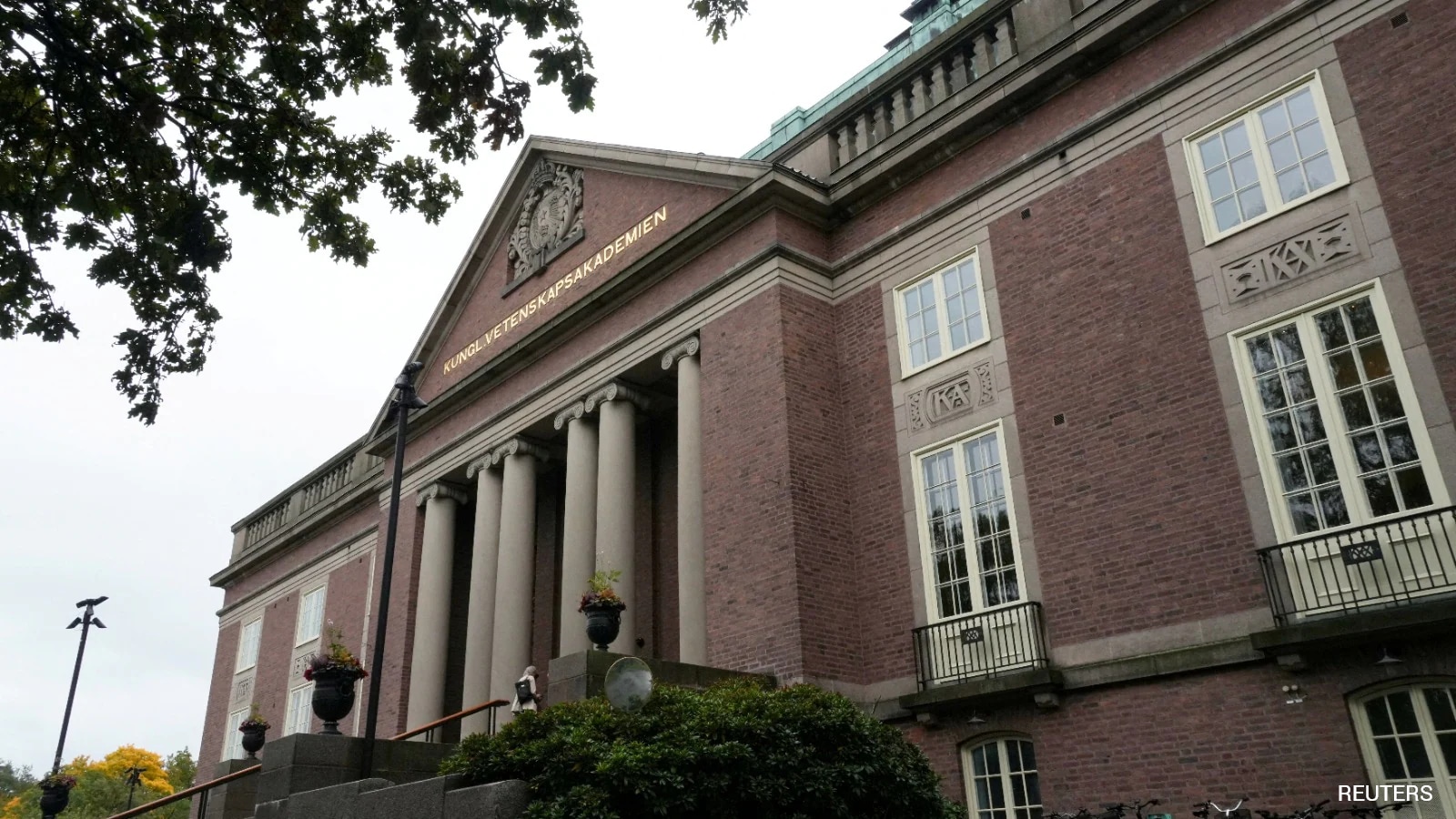 What Are the Nobel Prizes: History, Categories and Winners