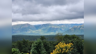 Nilgiris Landslides: 1 Dead, Students Rescued As Heavy Rain Disrupts Ooty Travel