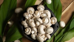 Which City Is Known As The Mushroom Capital Of India?