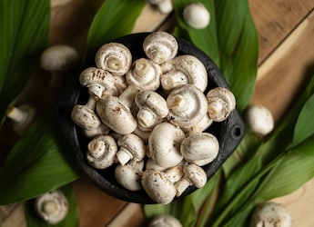 Which City Is Known As The Mushroom Capital Of India? Which City Is Known As The Mushroom Capital Of India?