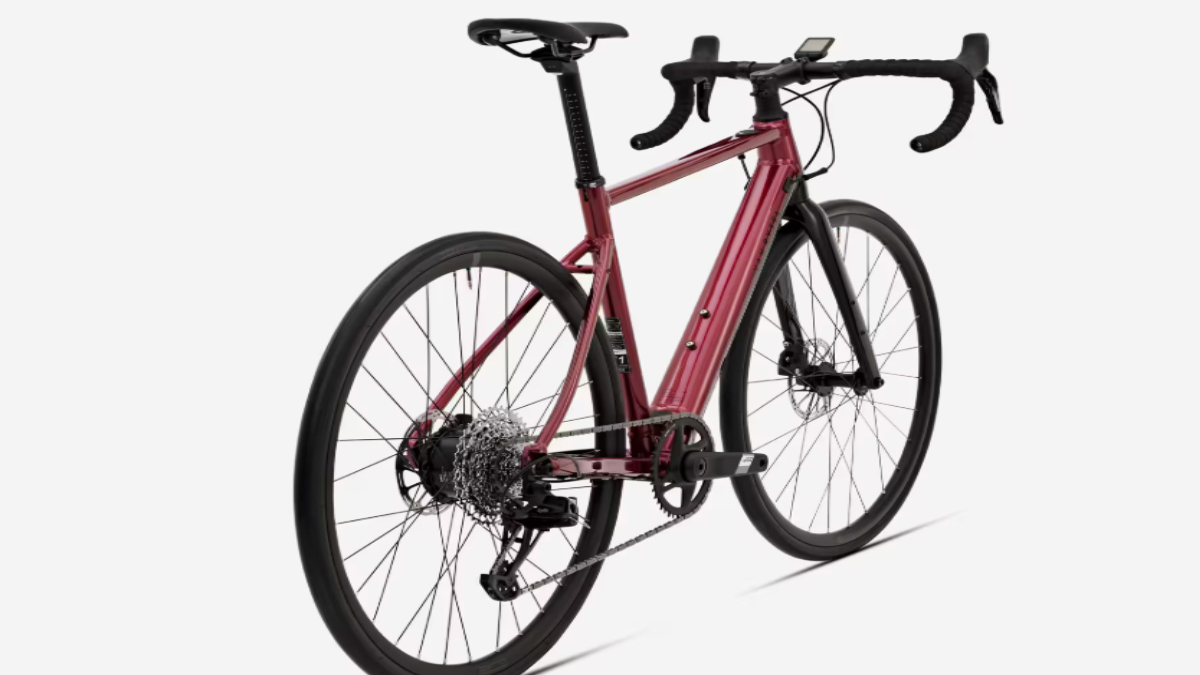 100km रेंज की नई Decathlon इलेक्ट्रिक बाइक हुई लॉन्च, जानें कीमत