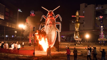 AAP Seeks FIR Over Cockroach Effigy Burning; BJP Defends Symbolism