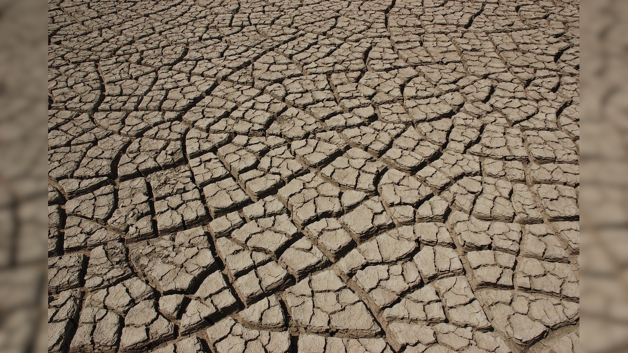 Gujarat declares four districts drought-affected, announces relief measures