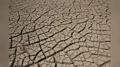 Gujarat Declares 4 Districts Drought-Hit Despite 89% Rainfall: Govt Announces Major Relief Package