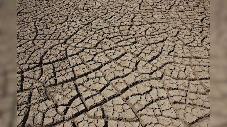 Gujarat Declares 4 Districts Drought-Hit Despite 89% Rainfall: Govt Announces Major Relief Package