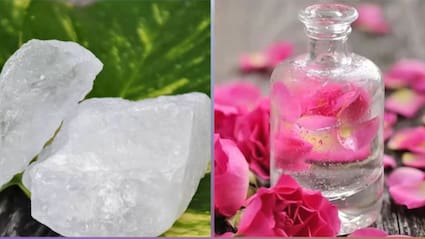 गुलाब जल में फिटकरी मिलाकर चेहरे पर लगाने से क्या होता है? एक्सपर्ट ने बताए कमाल के फायदे