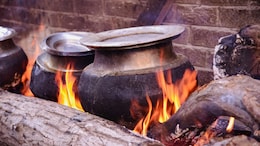 Kashmir's 600-Year-Old Wazwan Lives On, But Fewer Young Cooks Want The Job