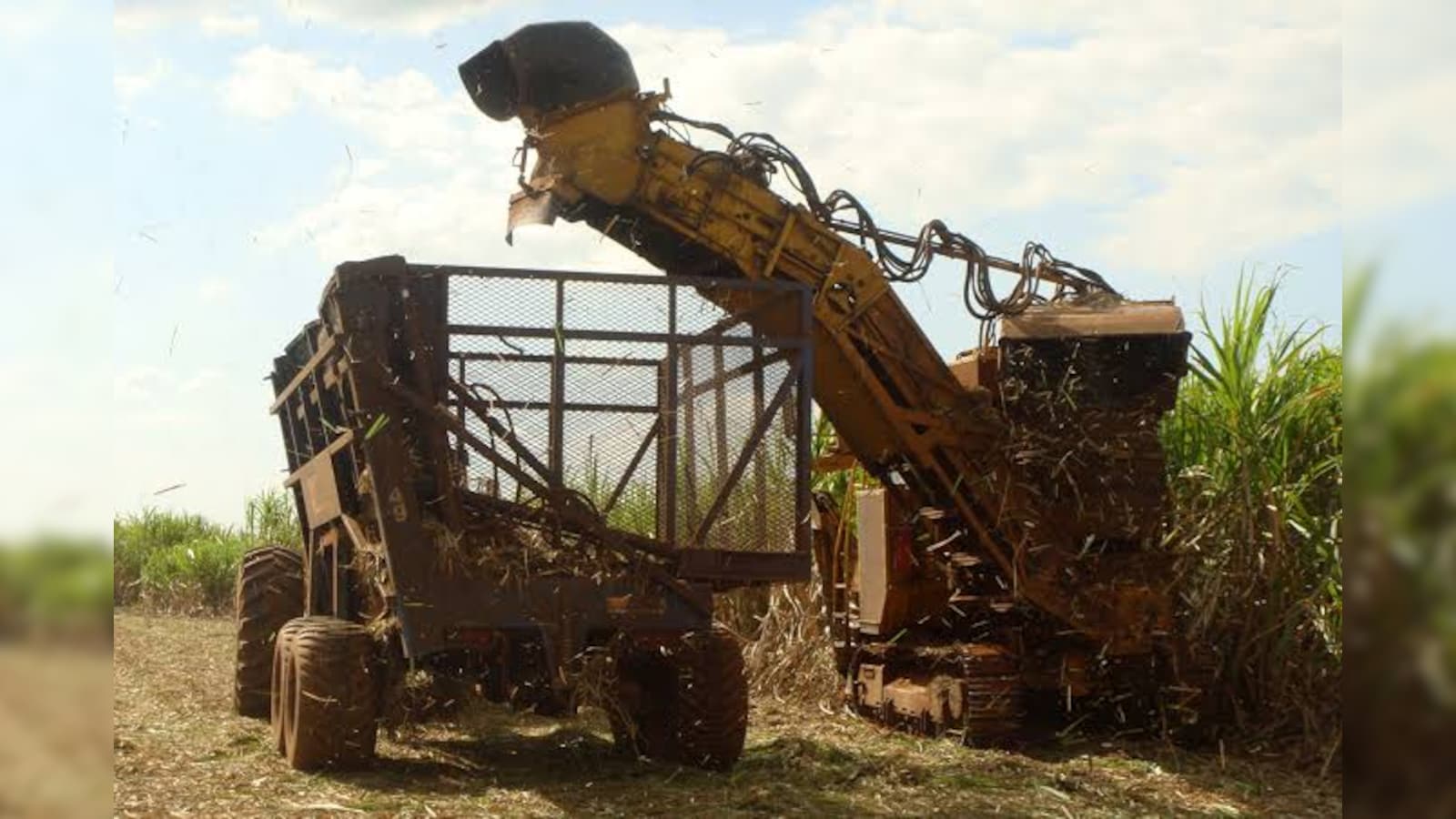 Govt Halts Sugar Diversion For Ethanol In 2026-27 As Retail Prices Hit Record High