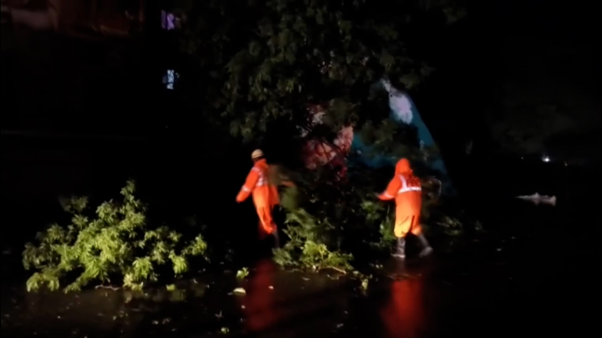 Cyclone Arnab: Huge Tree Blocks Road In Andhra's Kakinada, Thousands Evacuated