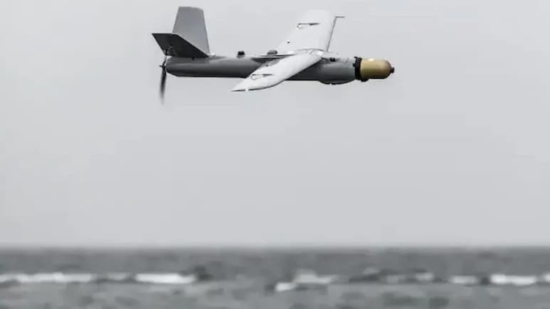 LAC पर ड्रोन वॉर की तैयारी: लद्दाख में परखा Warmate,  100 KM दूर तक खोज और हमले में सक्षम