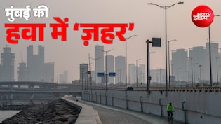 दिल्ली से भी जहरीली मुंबई की हवा! हाई कोर्ट ने लगाई फटकार-अधिकारियों को कैसे आती है 'चैन की नींद'