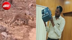 रणथंभौर में तेंदुए की हर चाल पर होगी नजर; साइलेंट डिवाइस और हाई ट्रैक सेंसर से बजेगा अलार्म, केरल मॉडल पर काम