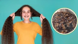 बालों को लंबा करने के लिए कौन सा तेल लगाएं? एक्सपर्ट ने बताया घर पर तेल बनाने का आसान तरीका