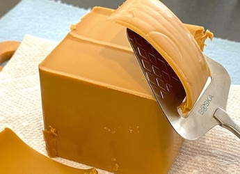 https://food.ndtv.com/opinions/age-of-brie-lliance-from-bandel-to-brunost-how-indian-cheese-came-of-age-12152587
