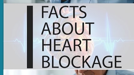 Stent, TAVR or MitraClip? Understanding Your Heart Procedure