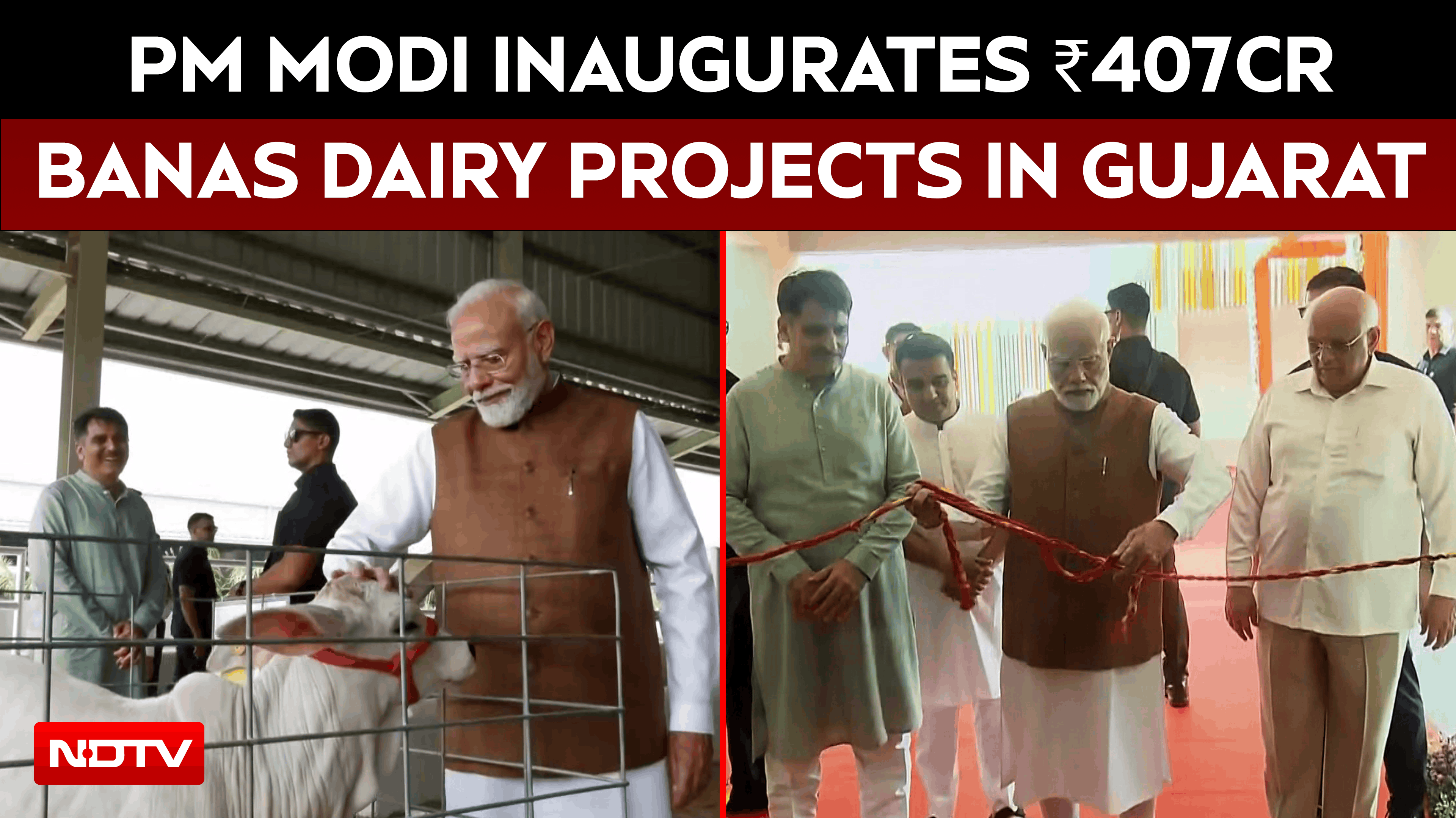 PM Modi Inaugurates ₹407-Crore Banas Dairy Projects In Gujarat, Boosts Dairy And Research Sector