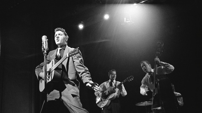 Elvis Presley Estate Sues Anthropic For Allegedly Using 274 Songs To Train AI Models
