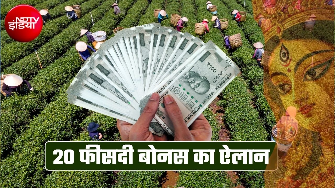 दुर्गा पूजा पर 20% बोनस का ऐलान, मुख्‍यमंत्री ने दिया तोहफा, 800 से ज्‍यादा चाय बागानों के 10 लाख वर्कर्स को फायदा
