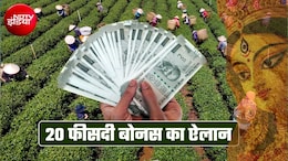 दुर्गा पूजा पर 20% बोनस का ऐलान, मुख्&zwj;यमंत्री ने दिया तोहफा, 800 से ज्&zwj;यादा चाय बागानों के 10 लाख वर्कर्स को फायदा