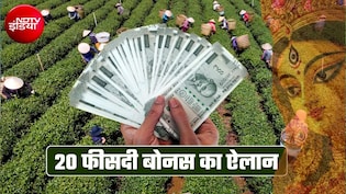 दुर्गा पूजा पर 20% बोनस का ऐलान, मुख्&zwj;यमंत्री ने दिया तोहफा, इस राज्&zwj;य में 10 लाख चाय श्रमिकों को लाभ
