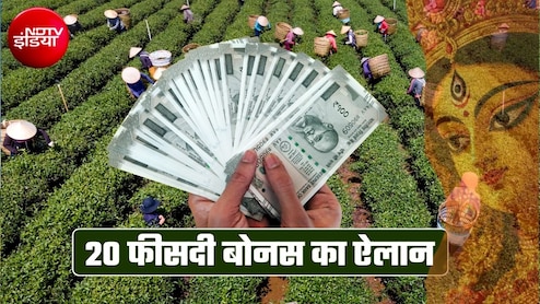 दुर्गा पूजा पर 20% बोनस का ऐलान, मुख्&zwj;यमंत्री ने दिया तोहफा, 800 से ज्&zwj;यादा चाय बागानों के 10 लाख वर्कर्स को फायदा