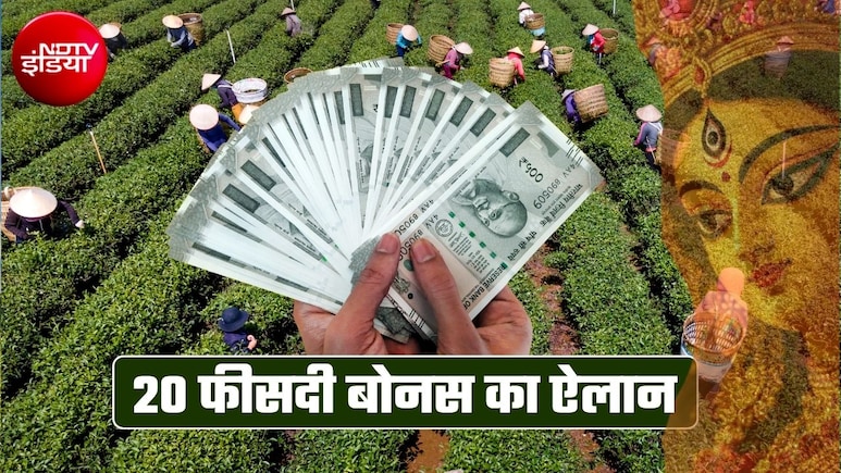 दुर्गा पूजा पर 20% बोनस का ऐलान, मुख्&zwj;यमंत्री ने दिया तोहफा, 800 से ज्&zwj;यादा चाय बागानों के 10 लाख वर्कर्स को फायदा