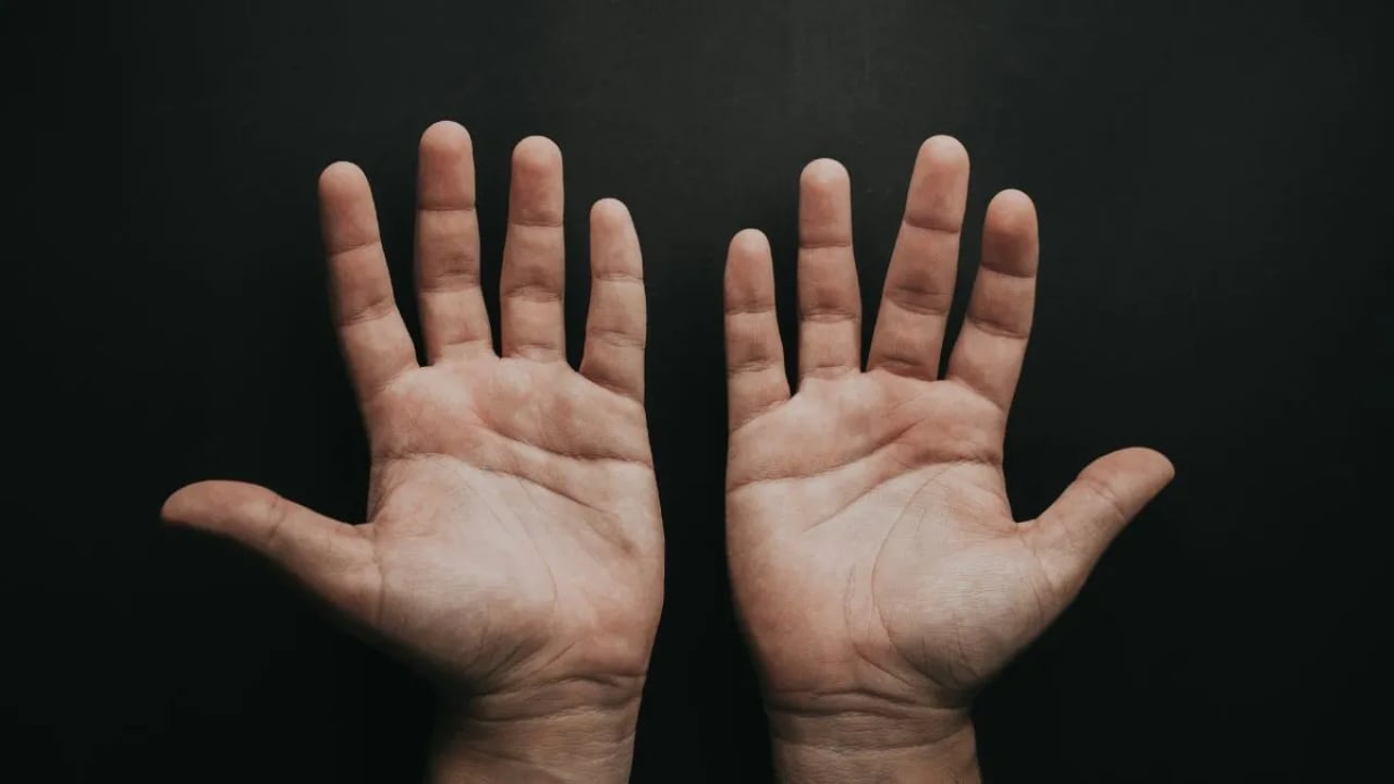 Palmistry: हथेली पर ज्यादा बारीक रेखाएं होने का क्या है मतलब? जानें हस्तरेखा शास्त्र की मान्यता