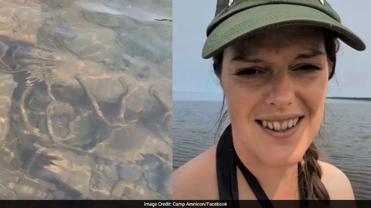 US Woman Finds 103-Year-Old Shipwreck While Playing With Her 9-Year-Old Son Near Lake Superior