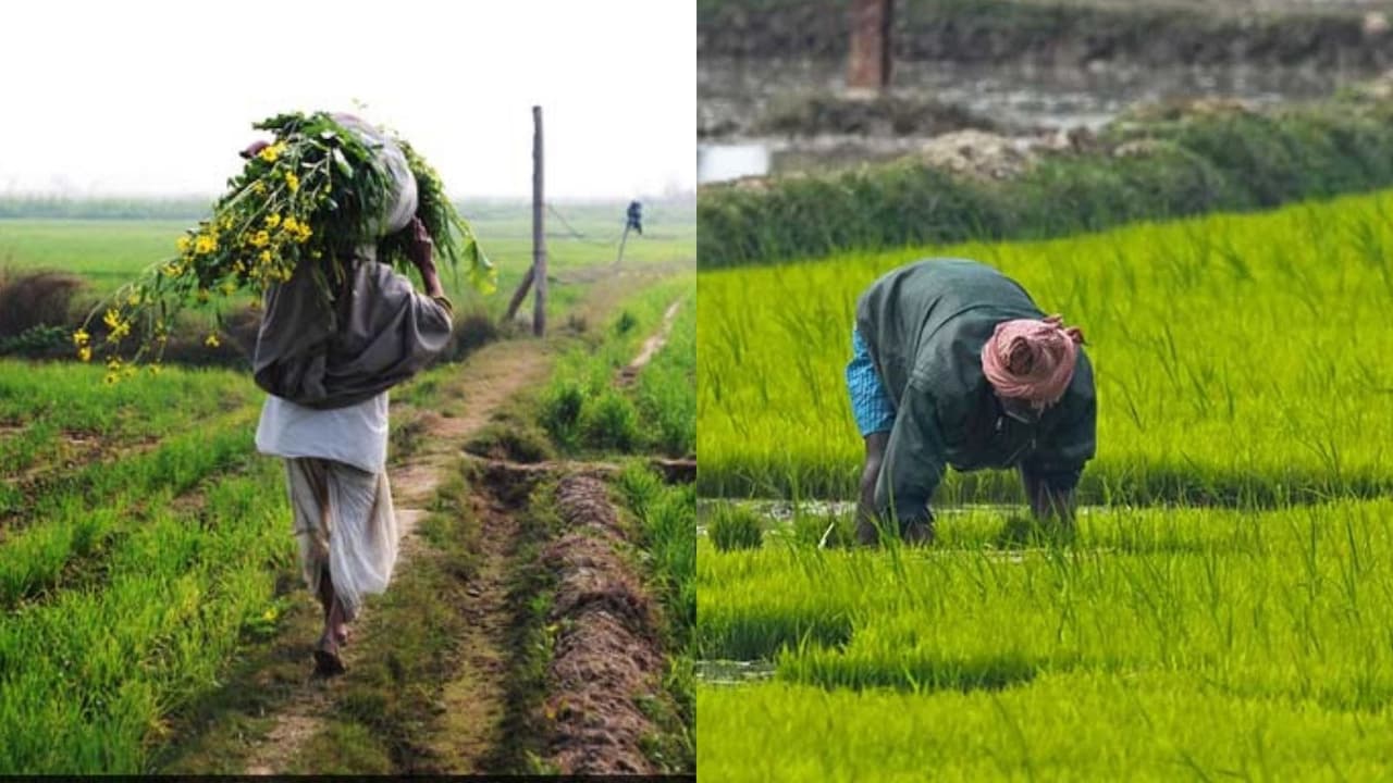 उत्तर प्रदेश 2.0: कृषि से समृद्धि, कानपुर में सजेगा अन्नदाताओं के लिए सबसे बड़ा मंच