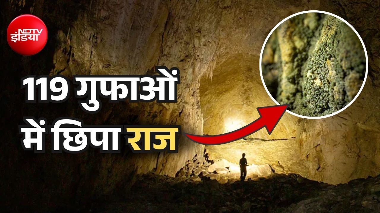 इन 119 गुफाओं में 5 करोड़ साल से कोई नहीं गया था, घुप अंधेरे में वैसे जीव मिले जो रोशनी से जिंदा रहते हैं