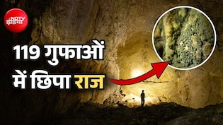 इन 119 गुफाओं में 5 करोड़ साल से कोई नहीं गया था, घुप अंधेरे में वैसे जीव मिले जो रोशनी से जिंदा रहते हैं