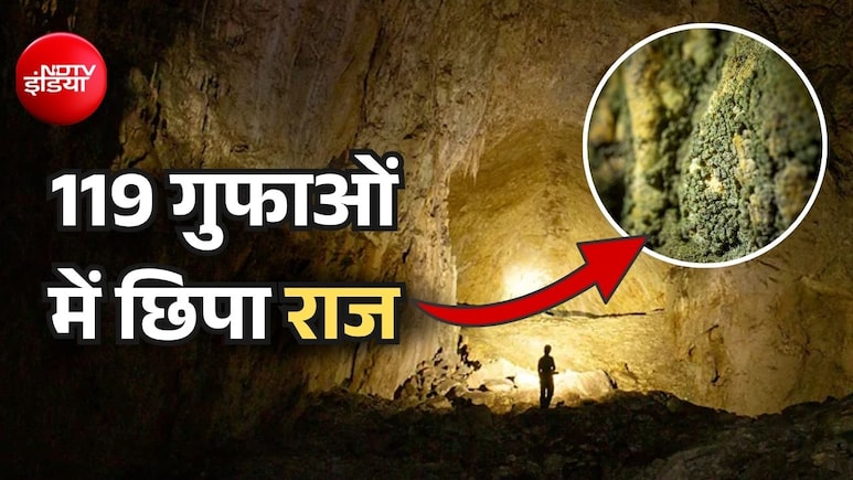 इन 119 गुफाओं में 5 करोड़ साल से कोई नहीं गया था, घुप अंधेरे में वैसे जीव मिले जो रोशनी से जिंदा रहते हैं