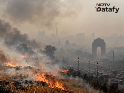 Farm Fires Are Rising: How Much Do They Add To Delhi's Pollution?