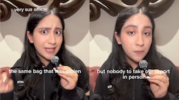 Video: Indian Family Loses Passports, Cash And Birkin Bag In London, Says Police Were No Help