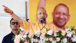 No UP Government Jobs For Those Seeking 'Violent Regime Change', Samajwadi Slams Order