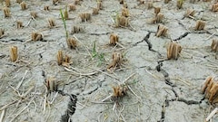 Maharashtra Water Crisis: 611 Tankers Deployed As Central Team Assesses Drought