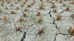 Maharashtra Water Crisis: 611 Tankers Deployed As Central Team Assesses Drought