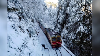 Tourism In Shimla Takes A Hit As Unesco World Heritage Toy Train Service Remain Disrupted