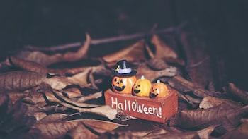 Happy Halloween 2026: 100+ Wishes, Greetings And Short Messages To Share With Your Loved Ones