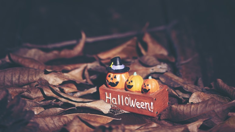 Happy Halloween 2026: 100+ Wishes, Greetings And Short Messages To Share With Your Loved Ones