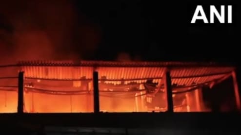 Over 150 Shops Destroyed In Fire At Goa's Vasco Market