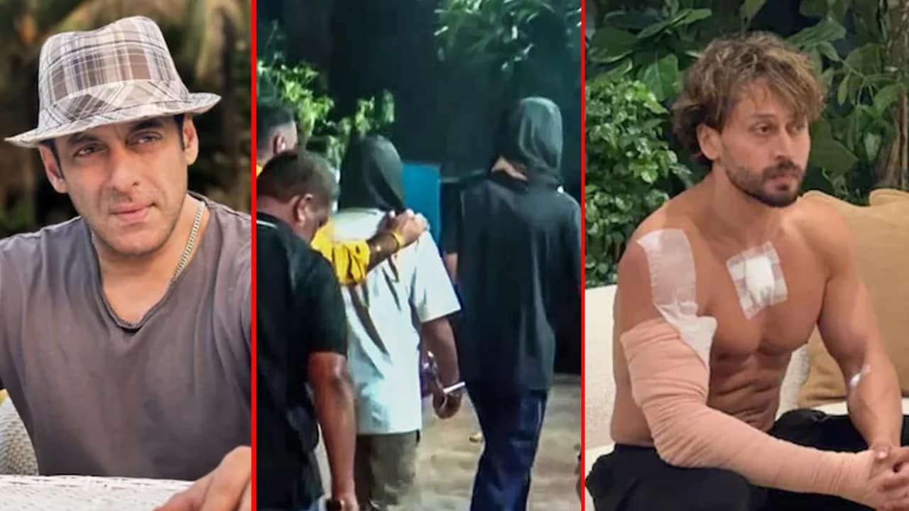 'Salman Only Tiger In Industry': A Praise That Led To Attack On Tiger Shroff