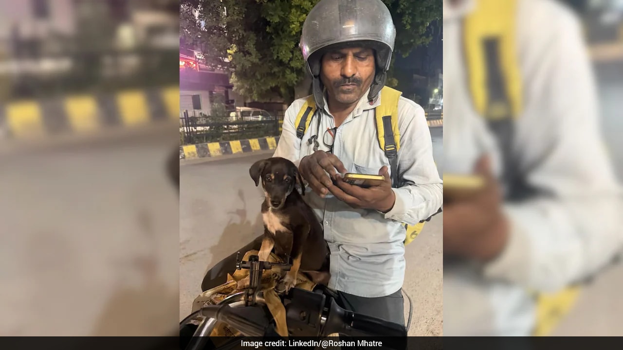 Blinkit delivery riders in Mumbai rescue injured puppy and let it accompany deliveries