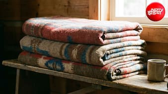 Old Blankets DIY: पुराने कंबलों का क्या करें? जानिए दोबारा इस्तेमाल करने के 3 शानदार तरीके, घर में आएंगे काम
