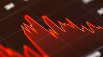 Dragon In A Bear Hug: Three Reasons Why China's Stock Market Plunged 20% From Its Peak