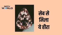 फ्रांस के शाही गुलाबी हीरे की चोरी के 100 साल बाद फिर लगेगी प्रदर्शनी, दिलचस्प है हीरे के खोने-मिलने की कहानी
