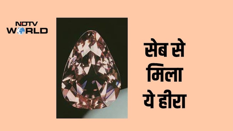 फ्रांस के शाही गुलाबी हीरे की चोरी के 100 साल बाद फिर लगेगी प्रदर्शनी, दिलचस्प है हीरे के खोने-मिलने की कहानी