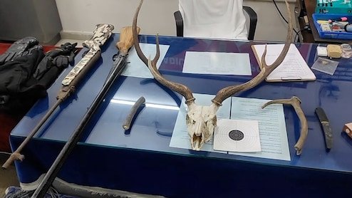 Telangana Plumber Arrested For Hunting Deer, Selling Meat, Antlers