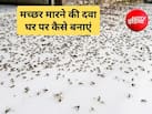 मच्छर घर में ना आए इसके लिए क्या करें? मच्छर को भगाने के लिए क्या जलाना चाहिए